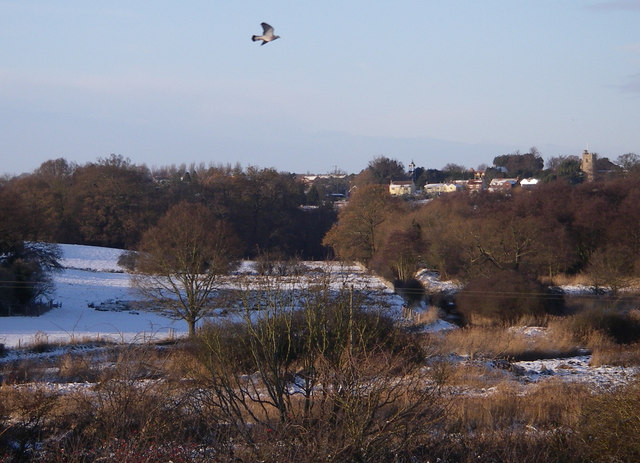 Holbrook's former estuary