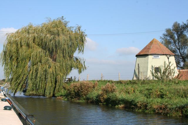 The Pepperpot