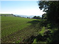 North Downs Way and Saxon Shore Way heading towards Cheriton Hill