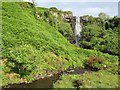 NM5322 : Waterfall with Fuchsia by Jonathan Wilkins
