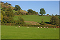 Fields north of Dolhendre