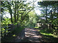 TR1640 : Track bridge near Red House Farm by David Anstiss