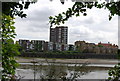 Looking across the River Thames