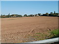 Old St Mellons : field between Bridge Road and Began Road