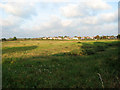 Meadow between Beccles Road and Burnt Hill Lane, Carlton Colville