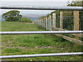 New fence by the footpath on Measbury Moor