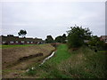 A drain at Reedness