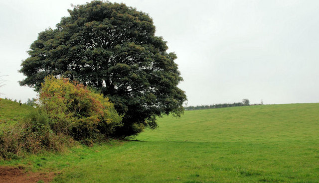 Field, Ballynahatty, Edenderry (2)