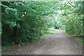 Thames Path north of Barnes