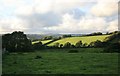 Fields across the valley from Trehere Farm