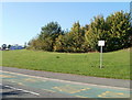 Please do not park on the grass, Pontprennau, Cardiff