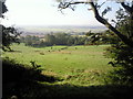 View from North Downs way at Brabourne Downs