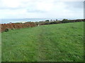 Footpath into St Ives from Trowan