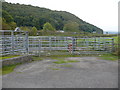 Cattle Pens by the A75