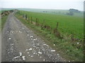 Track leading up Kerry Hill towards the Kerry Ridgeway