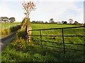 Glenroan Townland