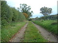 Track south of Mill Farm