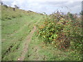 On The Downs at Herne Bay