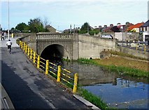 O1132 : Canal bridge by Third Lock, Grand Canal, Inchicore/Inse Chór by L S Wilson