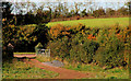 Gate near Comber