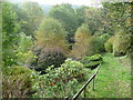 Track up from the footbridge at Glan-y-nant