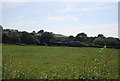 Wrapped bales, Hilders Farm