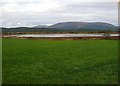 The River Cree Estuary