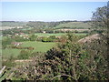 View from the North Downs Way towards Stowting