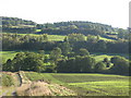 Farmland around the River North Tyne below High Barns (2)