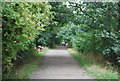 The Thames Path, Mortlake