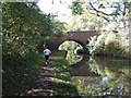 Worcester & Birmingham Canal - Bridge 66