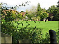 Garden near Oakley Grange