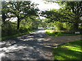 Plaistow Road approaching Mackerel