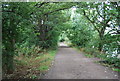 Thames Path to Kew