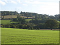 NY9168 : Farmland around the River North Tyne south of Wall by Mike Quinn