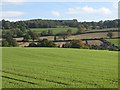 NY9168 : Farmland around the River North Tyne south of Wall (2) by Mike Quinn