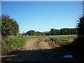 The Wolds Way near Sherburn