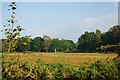 Tiptree  Heath Restored