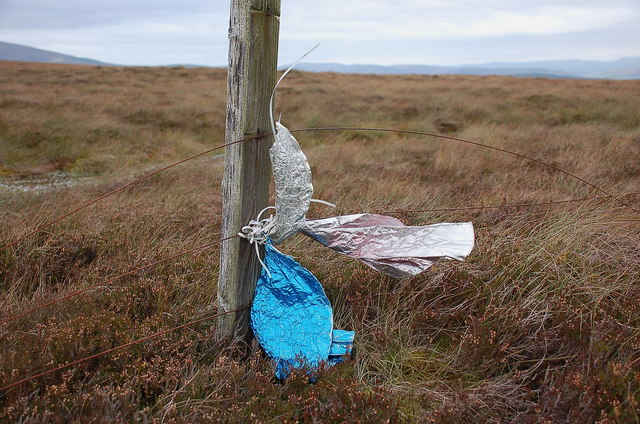 Remains of a balloon on Horse Hope Hill