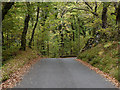 Minor road climbing south from Dolgellau