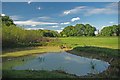 Pond in Merrymead Park