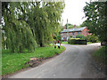 Lane past the village pond in Wickham Skeith