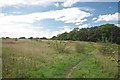 Towards Hall Wood