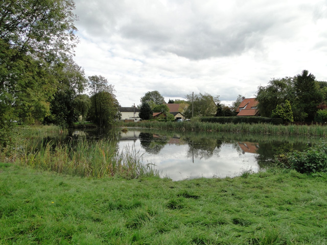 Village pond at Wickham Skeith © Adrian S Pye cc-by-sa/2.0 :: Geograph ...