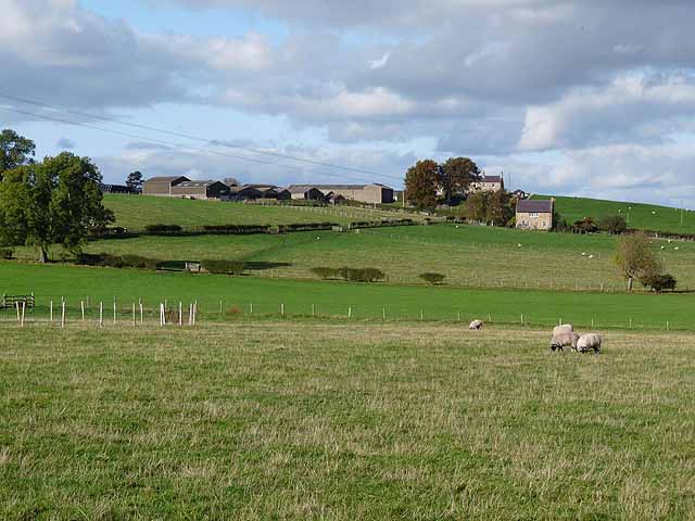 Aydon Shields © Oliver Dixon cc-by-sa/2.0 :: Geograph Britain and Ireland