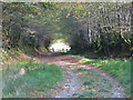 The Two Moors Way near Horsen Farm