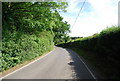 Quiet lane to Bough Beech