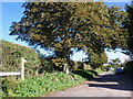 Chestnut Avenue, Chapel Cleeve