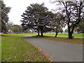 Albert Park, Higher Broughton