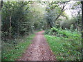 Bridleway approaching Roundstreet Common